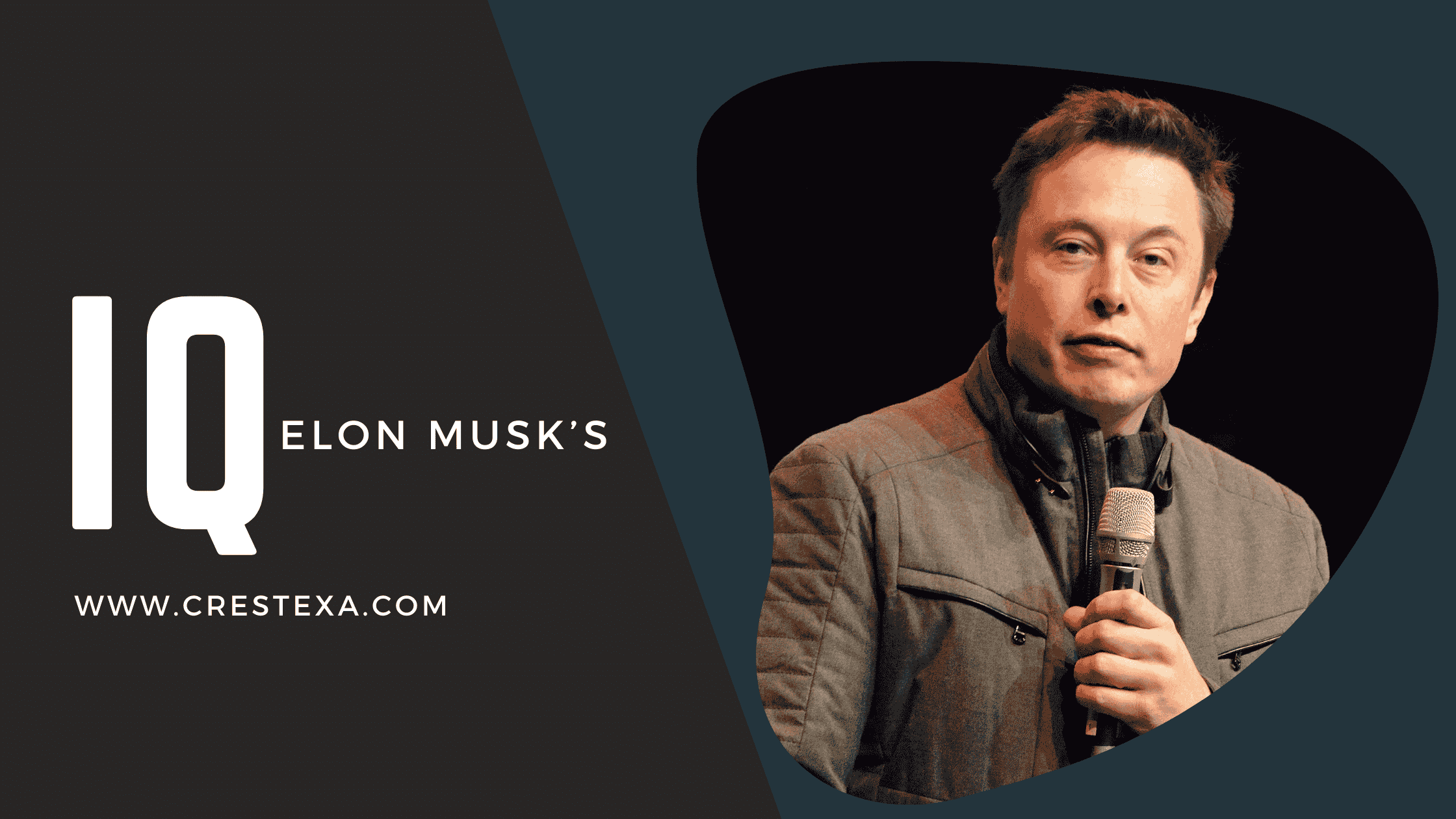 Elon Musk's IQ and early intellectual prowess: A glimpse into the mind of a visionary entrepreneur