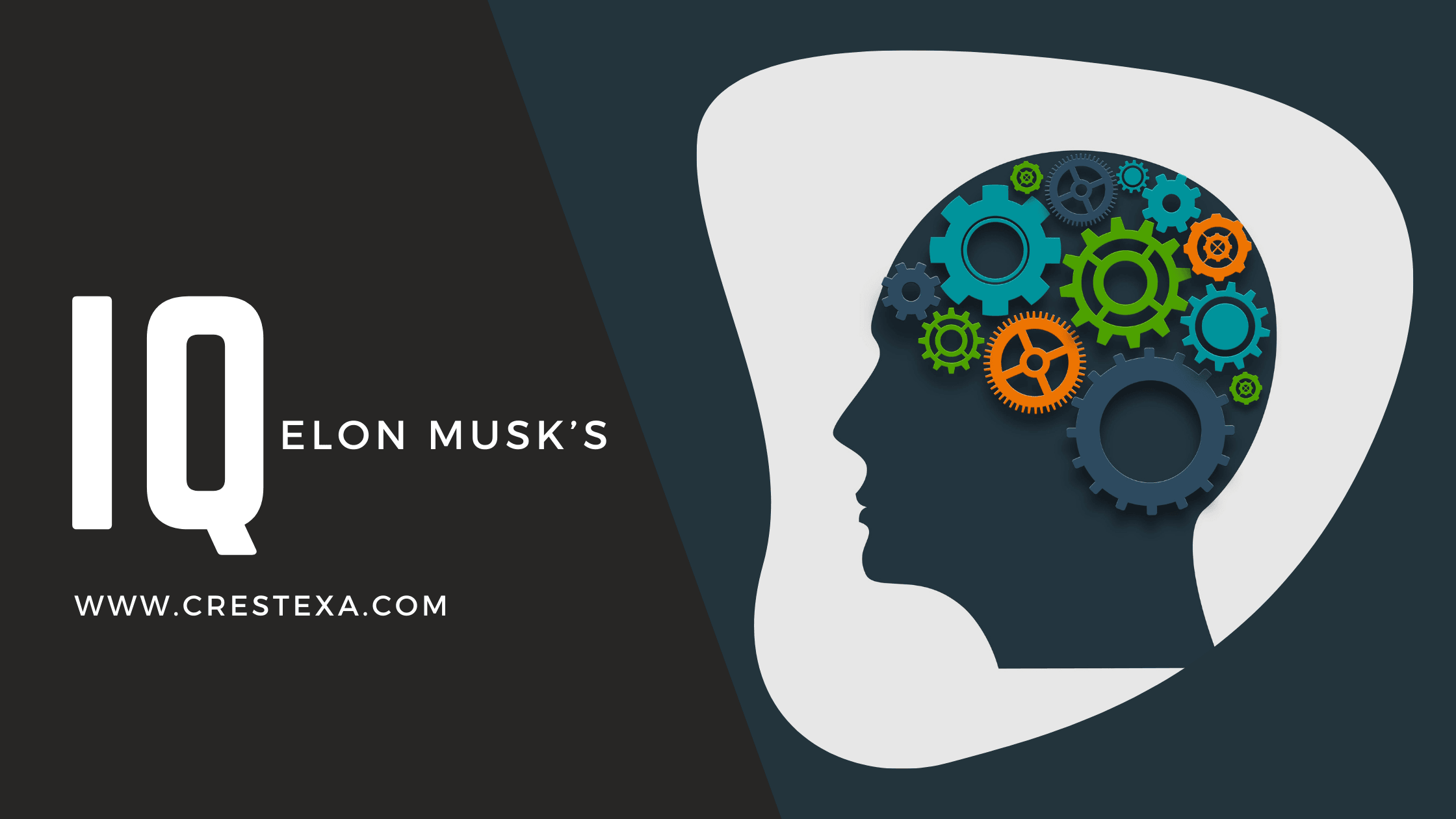 Elon Musk: A Mind Beyond Limits – His IQ Places Him Among the Highly Gifted